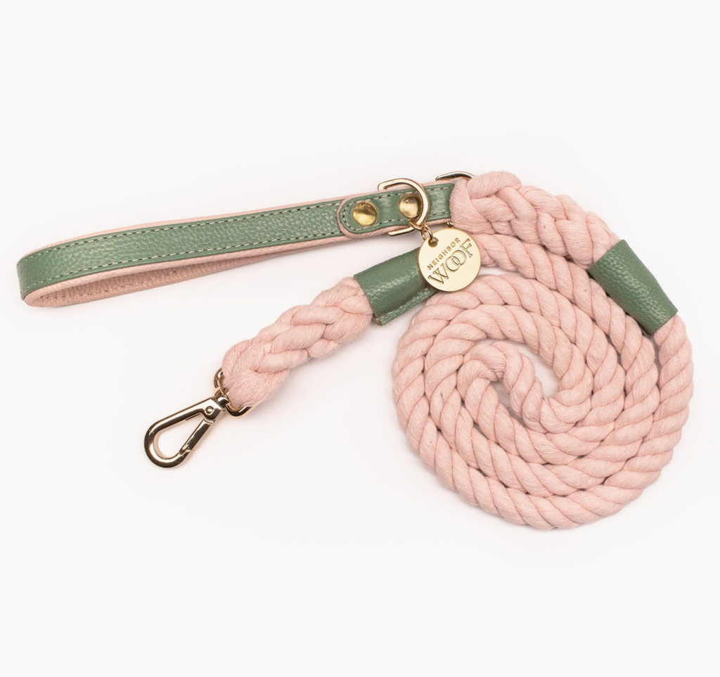 Leather Collar and rope leash pink and green