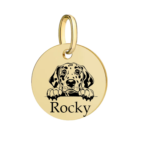Barkburry bio-thane collar and rope leash