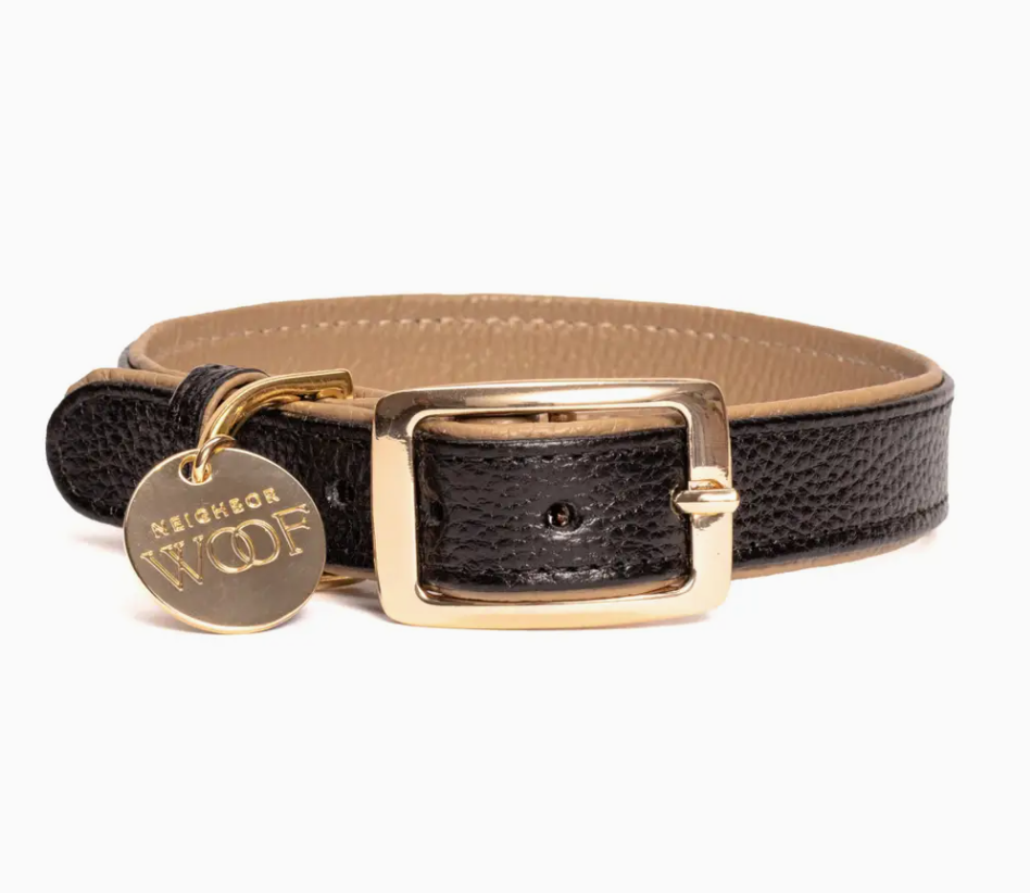 Leather Collar and rope leash dark mocha