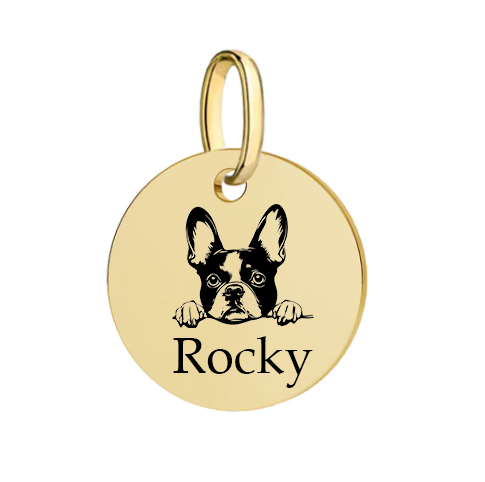 Barkburry bio-thane collar and rope leash