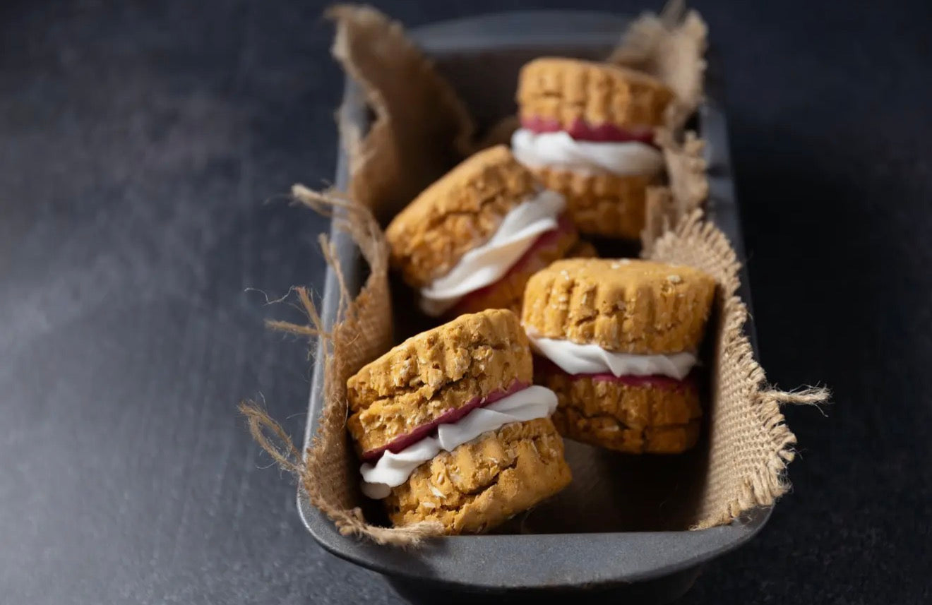 Doggy scones