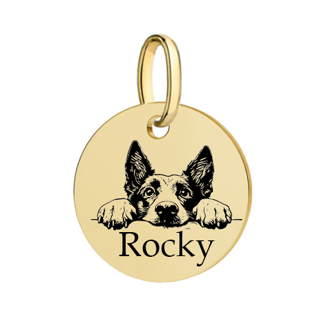 Barkburry bio-thane collar and rope leash