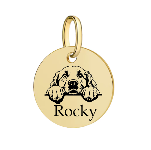 Barkburry bio-thane collar and rope leash