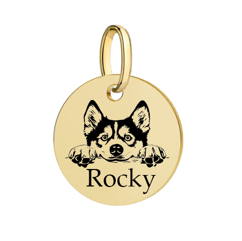 Barkburry bio-thane collar and rope leash