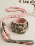 Leather Collar and rope leash pink and green