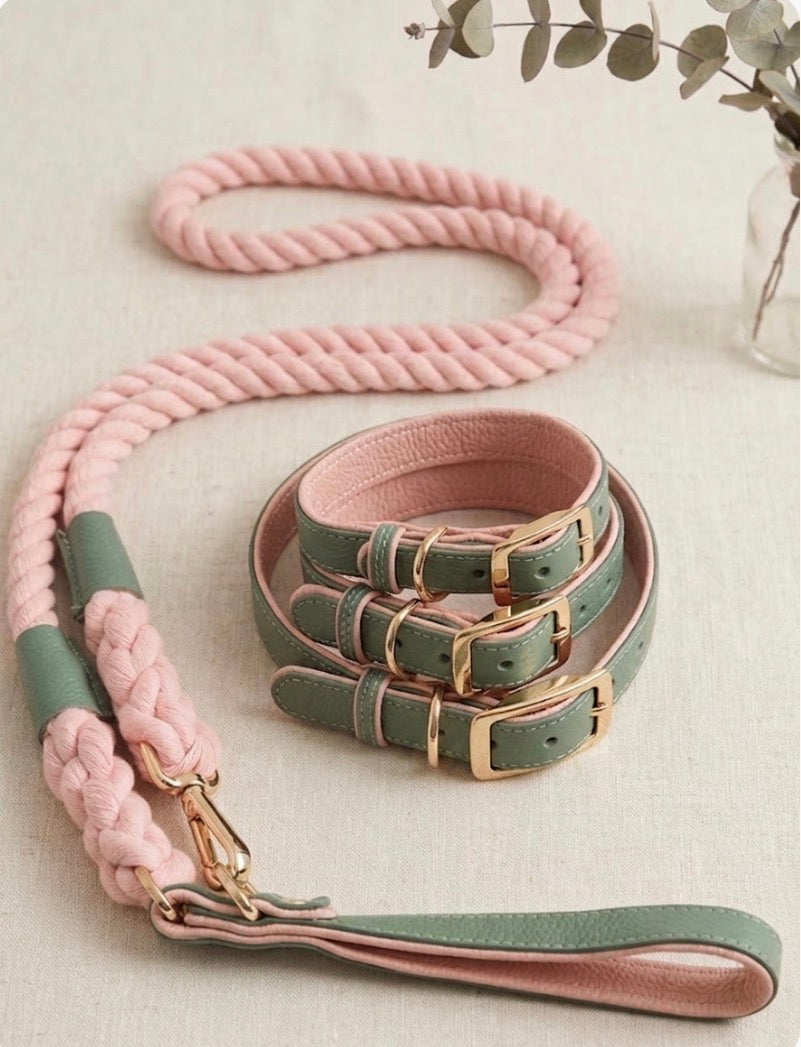 Leather Collar and rope leash pink and green