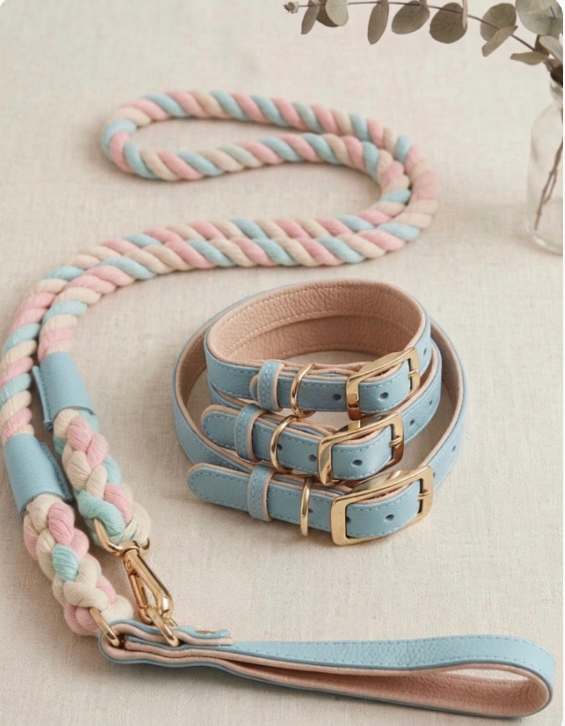 Leather Collar and rope leash dark light blue