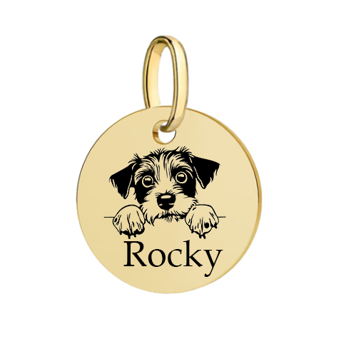 Barkburry bio-thane collar and rope leash