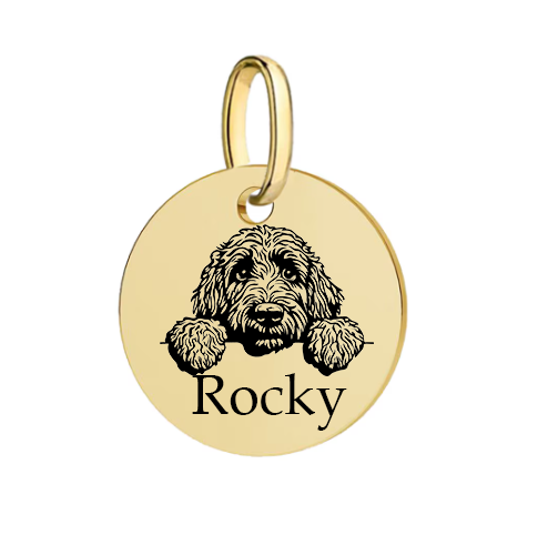 Barkburry bio-thane collar and rope leash