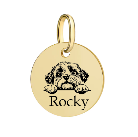 Barkburry bio-thane collar and rope leash