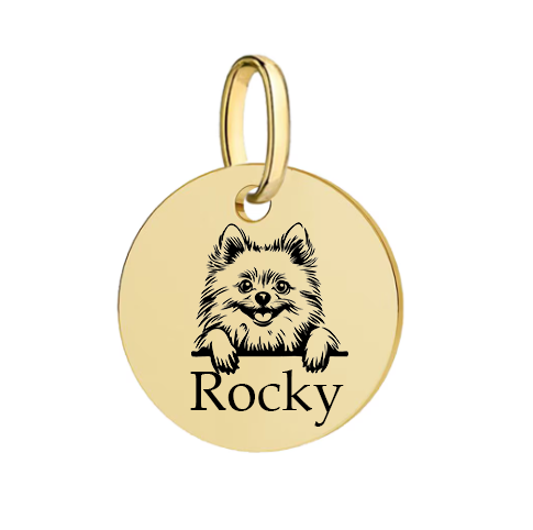 Barkburry bio-thane collar and rope leash