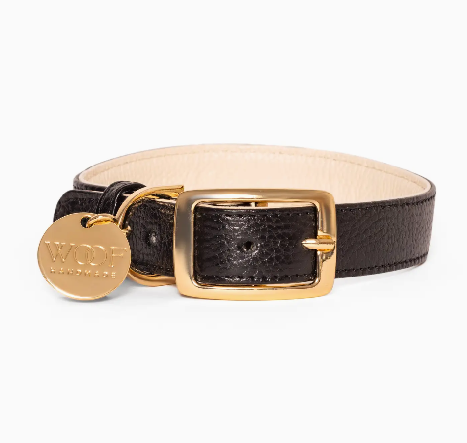 Leather Collar and rope leash black