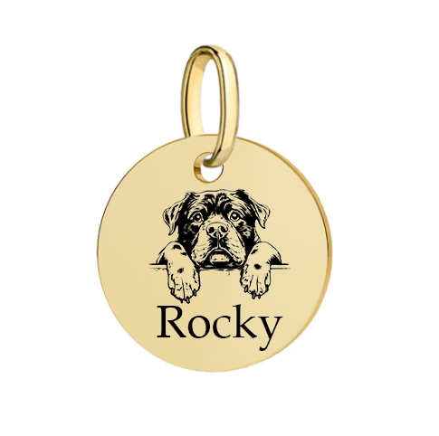 Barkburry bio-thane collar and rope leash
