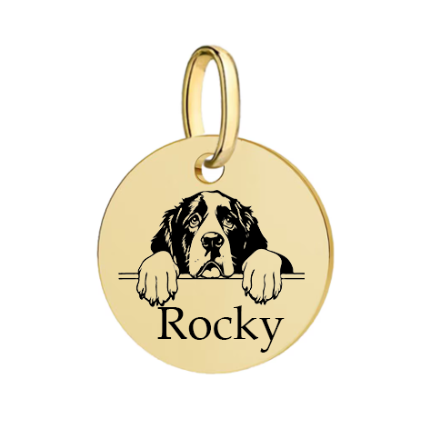 Barkburry bio-thane collar and rope leash