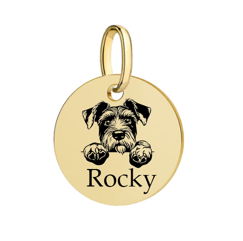 Barkburry bio-thane collar and rope leash