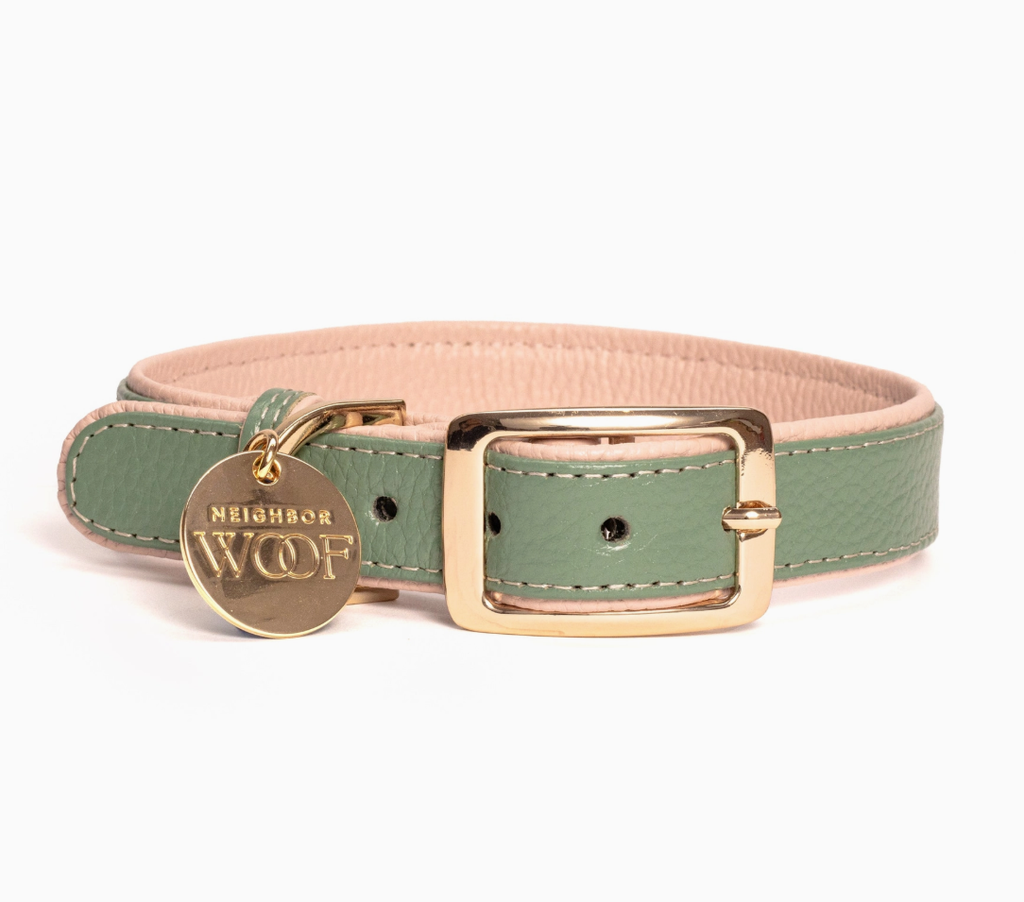 Leather Collar and rope leash pink and green