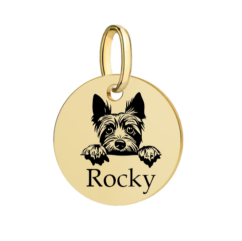 Barkburry bio-thane collar and rope leash