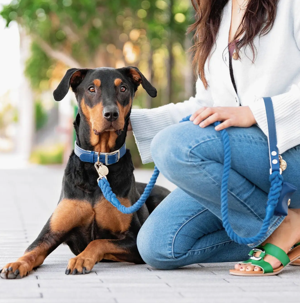 Leather Collar and rope leash Blue