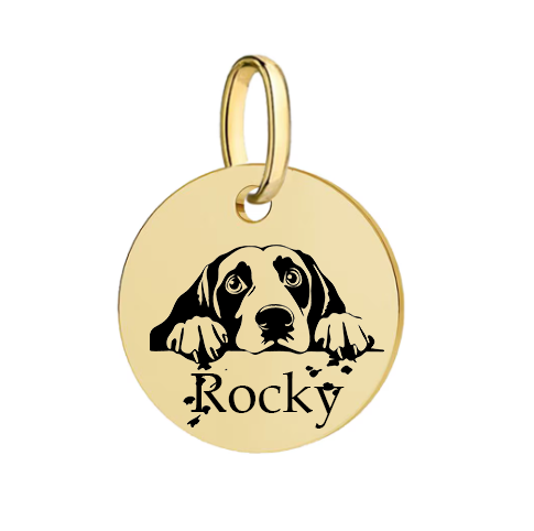 Barkburry bio-thane collar and rope leash
