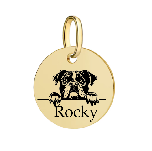 Barkburry bio-thane collar and rope leash
