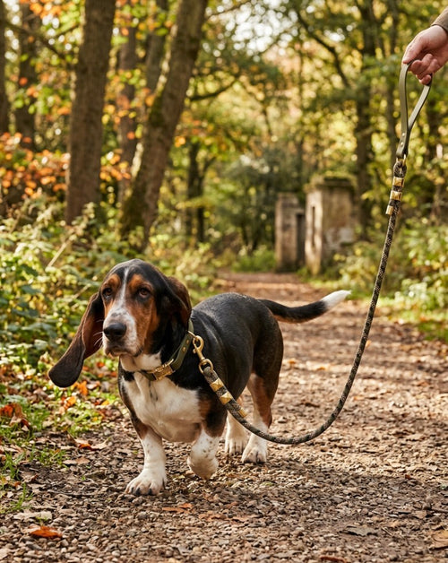 Camo bio-thane collar and rope leash