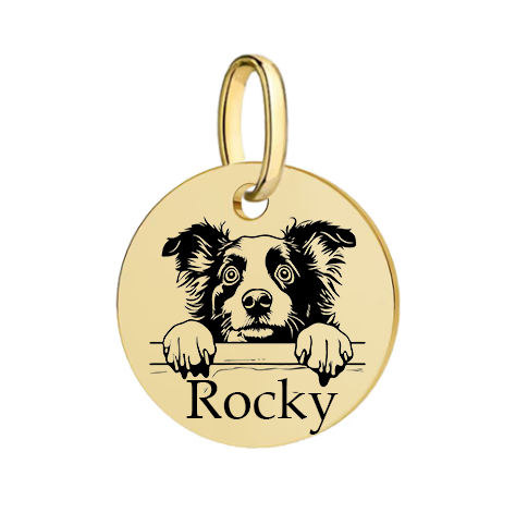 Barkburry bio-thane collar and rope leash