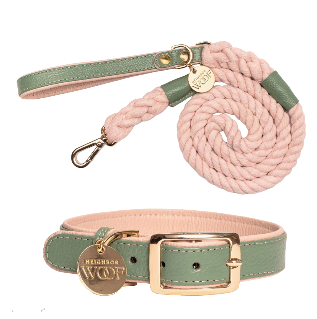 Leather Collar and rope leash pink and green