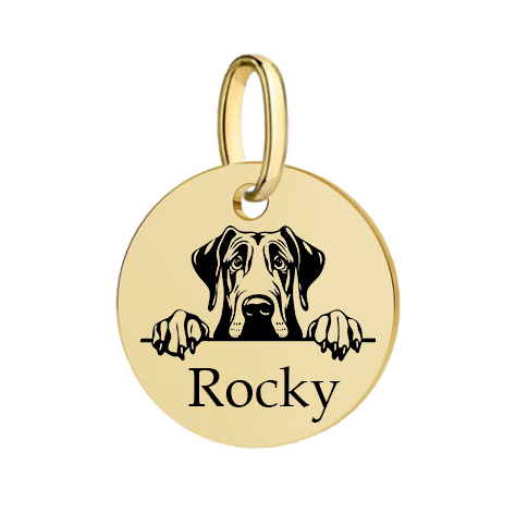 Barkburry bio-thane collar and rope leash