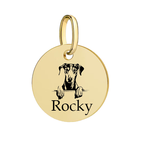 Barkburry bio-thane collar and rope leash