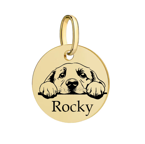 Barkburry bio-thane collar and rope leash