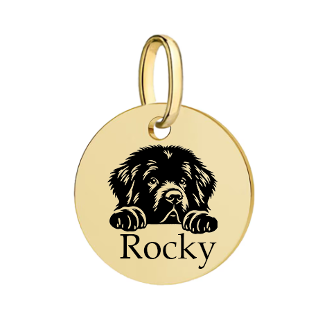 Barkburry bio-thane collar and rope leash