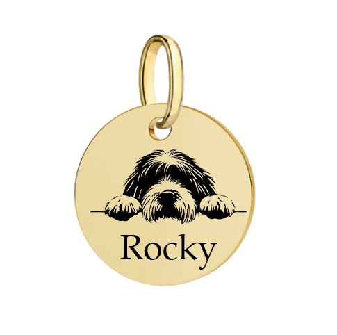 Barkburry bio-thane collar and rope leash