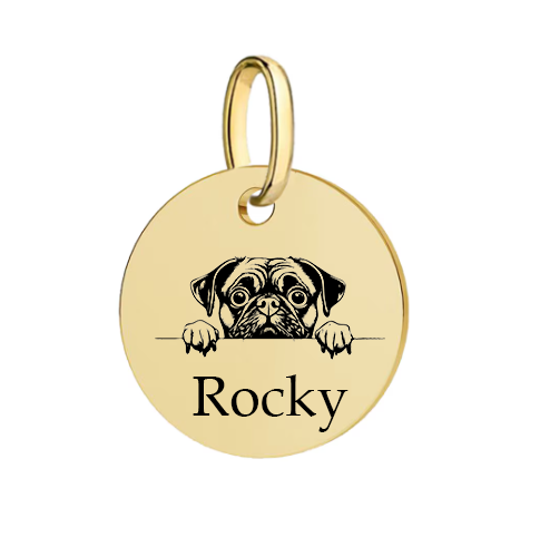 Barkburry bio-thane collar and rope leash