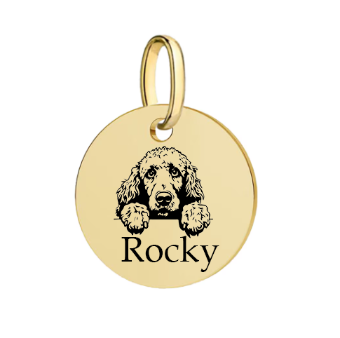 Barkburry bio-thane collar and rope leash