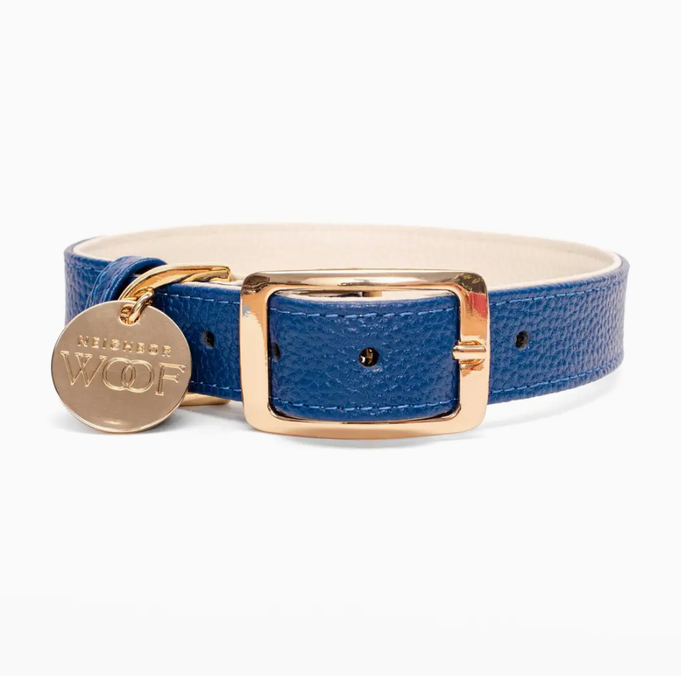 Leather Collar and rope leash Blue