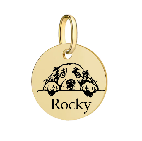 Barkburry bio-thane collar and rope leash