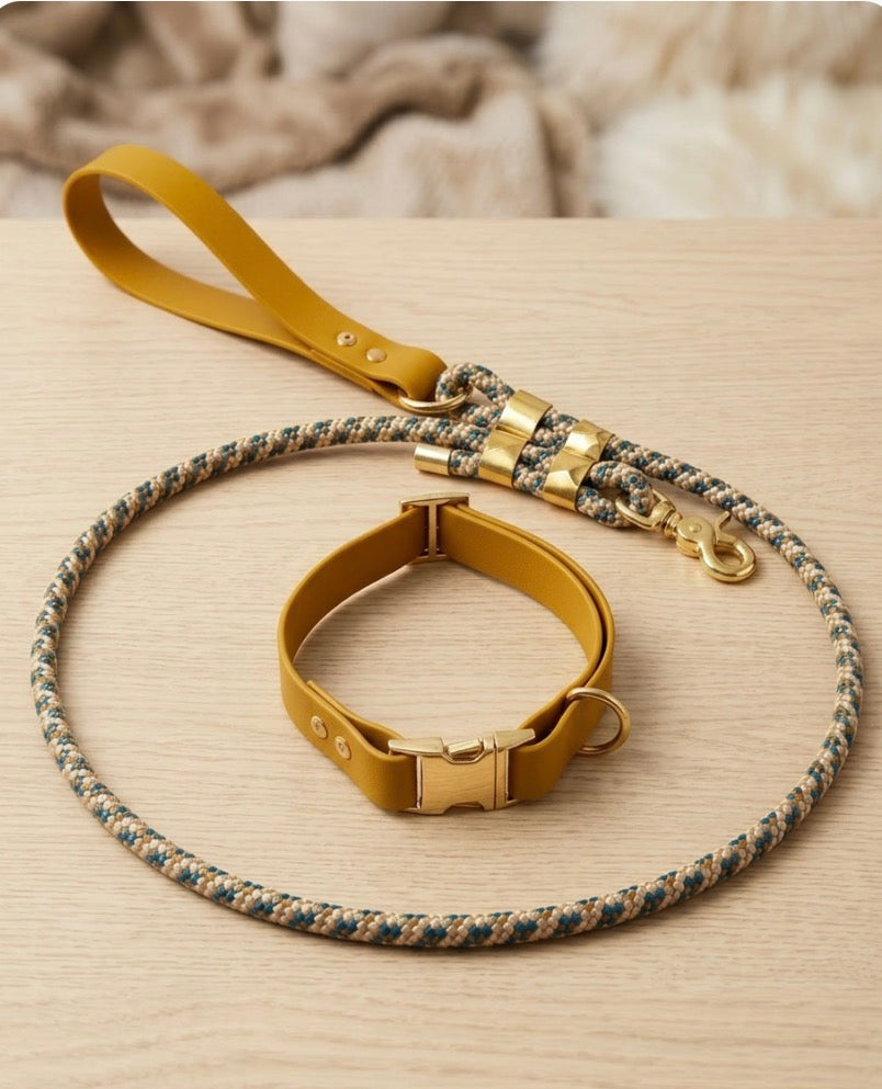 Sunset bio-thane collar and rope leash