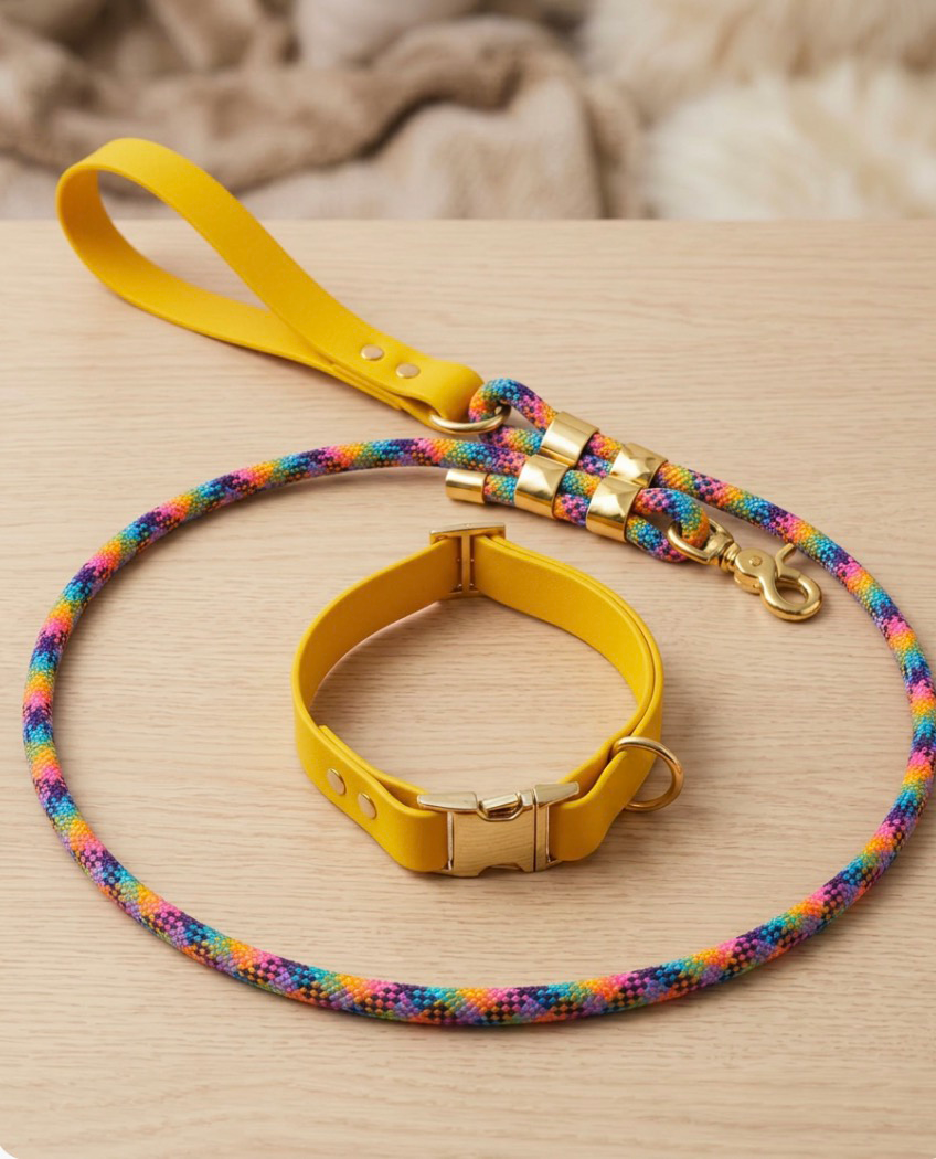 Sunflower bio-thane collar and rope leash